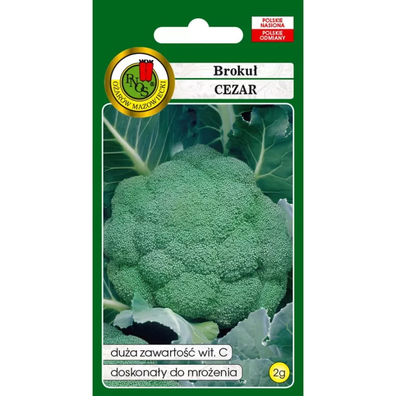 PNOS Brokkoli Caesar Gemüsesamen, 2 g