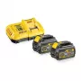DeWalt DCB118T2-QW XR FLEXVOLT Starterkit, 2 Akkus 54 V 2 Ah und Ladegerät