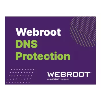 Webroot | DNS Protection with GSM Console | 2 Jahr(e) | Lizenzmenge 10-99 Benutzer