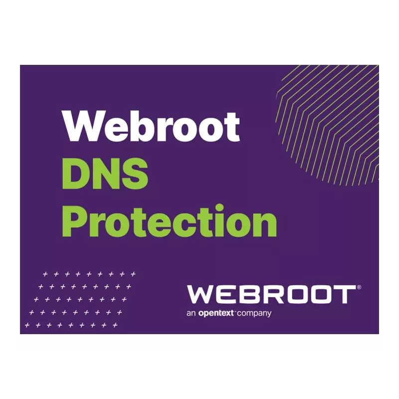 Webroot | DNS Protection with GSM Console | 2 Jahr(e) | Lizenzmenge 10-99 Benutzer