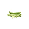 PNOS Ackerbohne Jankiel White Samen, 50 g