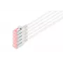Digitus DK-1624-100S-5 CAT 6 U/FTP Slim Patchkabel, 10 m, grau, 5er-Pack