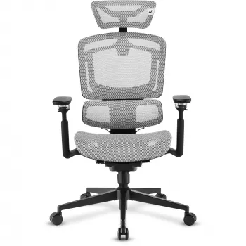 Bürostuhl Sharkoon OfficePal C50M — gepolsterte Sitzfläche, Netzrückenlehne, schwarz, Rückenlehne 49 × 63 cm, Sitzbreite 50 cm