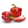 PNOS Paprika Jolanta Gemüsesamen, 0,5 g