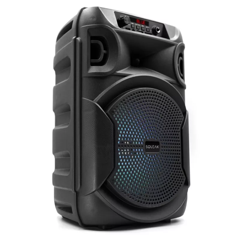BLUETOOTH SPEAKER 5.3 E DR PULSETOWER SQ1006