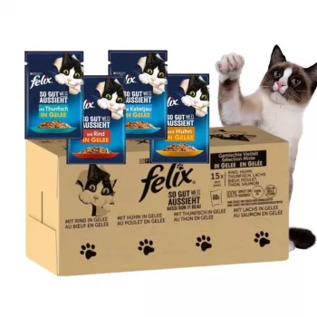 Purina Felix MIX Katzennassfutter, 120 x 85 g