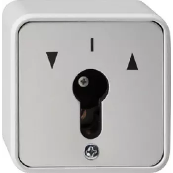 GIRA 014430 Lichtschalter Grau (014430)