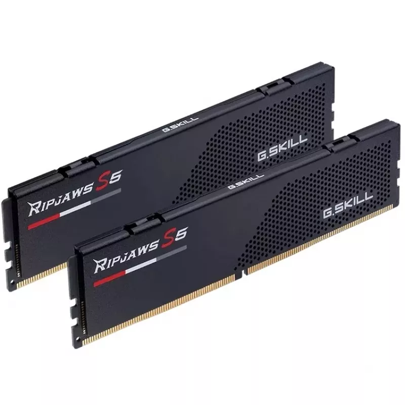 G.skill F5-6800J3446F24GX2-RS5K Speichermodul