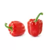 PNOS Paprika-Saatgutmischung, 0,6 g