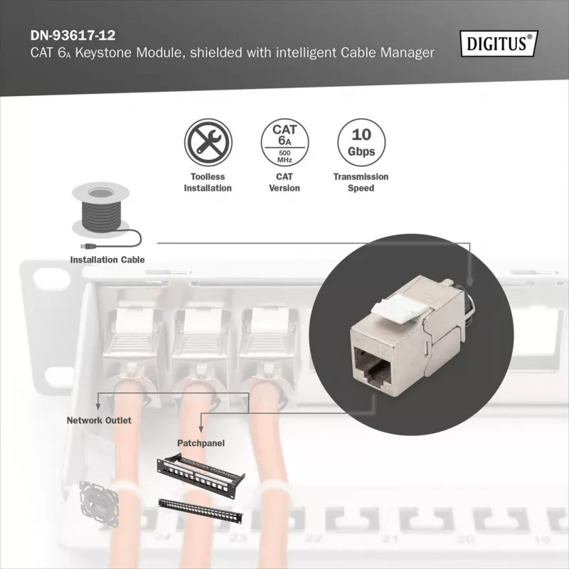 Digitus Cat.6A geschirmtes Keystone-Modul mit intelligentem Kabelmanager, 12 Stück, silber