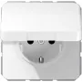 JUNG CD 1520 BF KI KL WW SCHUKO-Steckdose mit Klappdeckel, 16 A 250 V, Alpinweiß