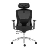 Expert 5.3 Schwarz Mesh Drehstuhl