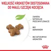 Royal Canin FHN Kitten Trockenfutter für Kätzchen, 4 kg
