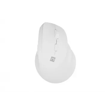 NATEC Crake 2 Maus, universell, für Rechtshänder, RF Wireless + Bluetooth, optisch, 2400 DPI