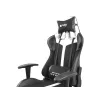 FURY Avenger XL Universal Gaming Chair Gepolsterter Sitz Schwarz, Weiß