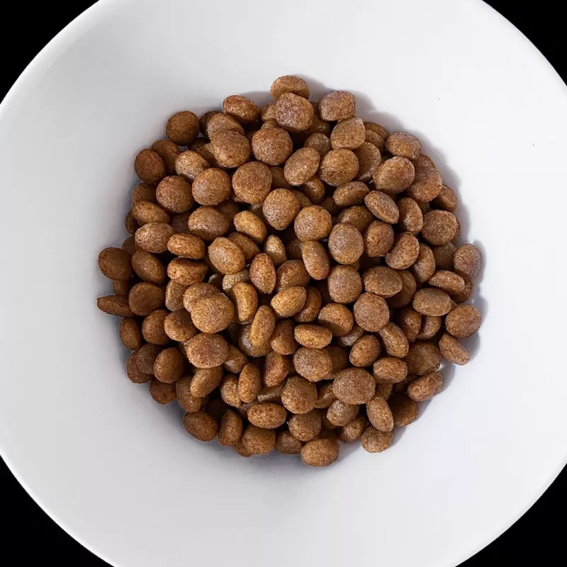 VET RESPONSE Hypoallergenic - Trockenfutter für Hunde - 8 kg