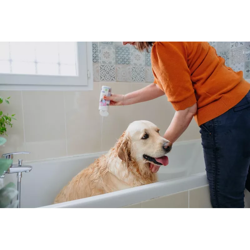 Shampoo VIRBAC Allerderm Normal 250 ml – sanfte Haustier-Hautpflege für Hunde und Katzen