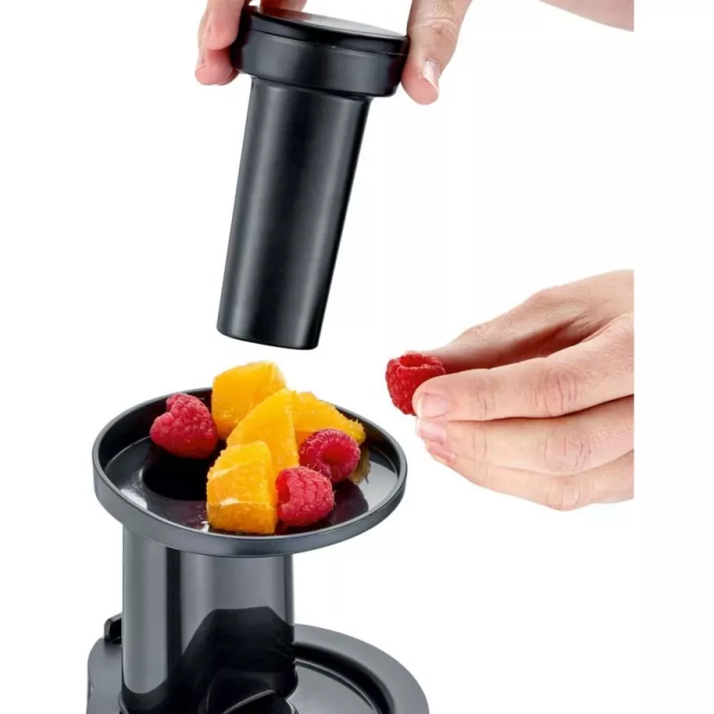 Severin ES 3571 Slow Juicer Entsafter, 150 W, Schwarz/Metallic
