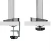White Shark GMS-3204 Amenhotep I Monitor-Tischhalterung, 17-32 Zoll, VESA 75x75/100x100, bis 9 kg, grau