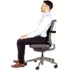 Stuhlrückenstütze PlushTouch/Lumbar 8026501 FELLOWES