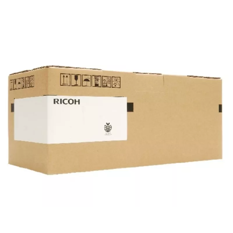 Ricoh D0092836 (D009-2836) FÜHRUNGSPLATTE