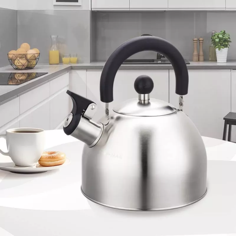 Maestro MR-1300 Wasserkessel (nicht elektrisch) 2 l, silber