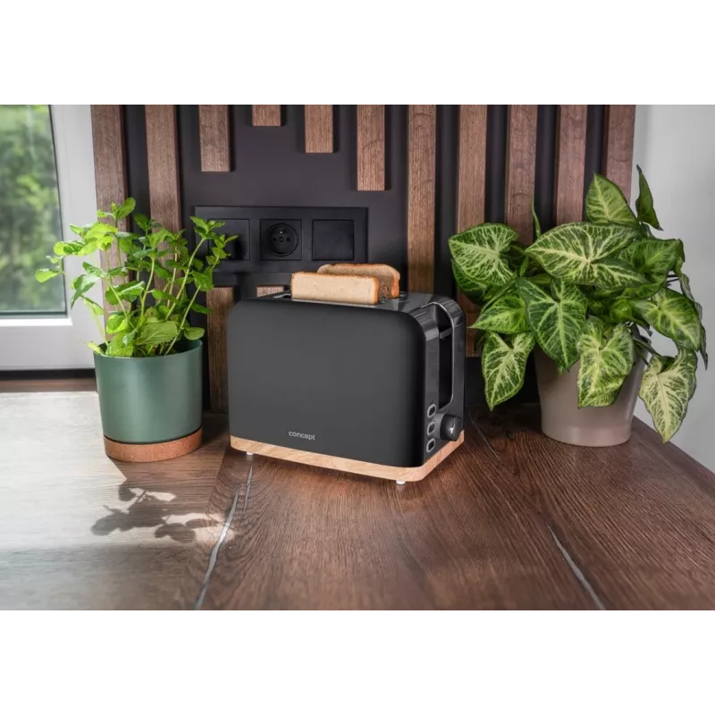 Toaster Concept Elwood TE2016, 2-Scheiben, schwarz