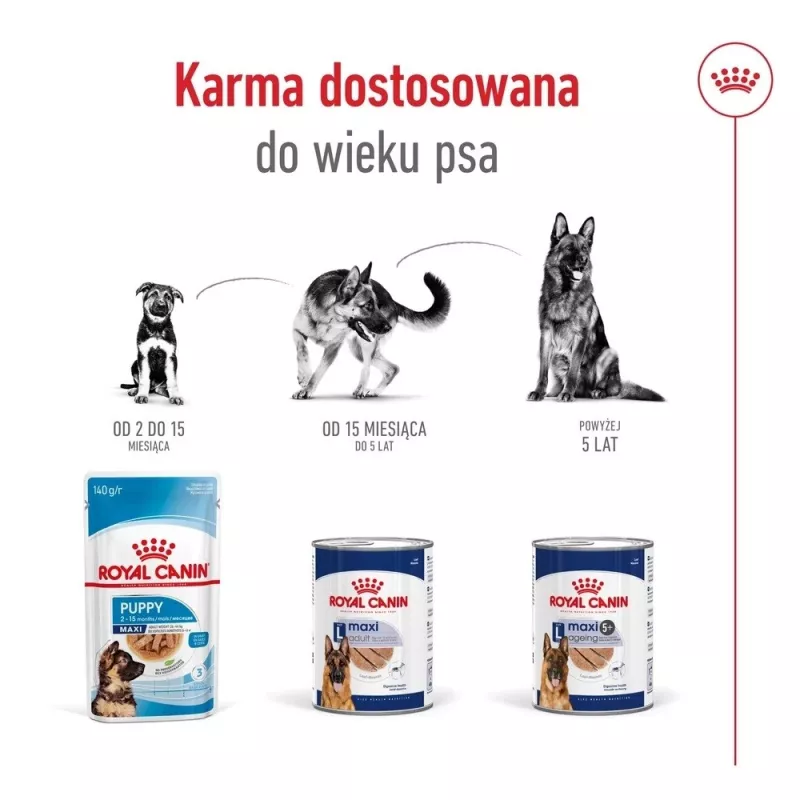 ROYAL CANIN SHN Maxi Ageing Loaf Can 410g