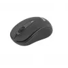Kabellose Maus Tellur Basic Mini Schwarz Schnittstelle