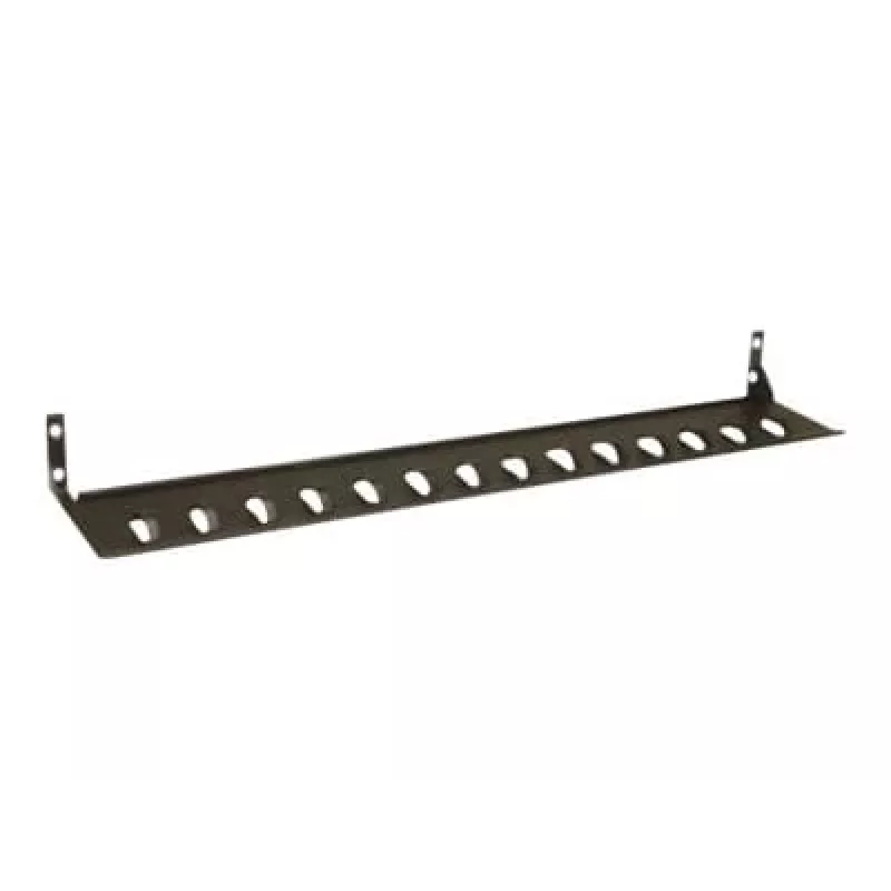 APC AP9569 Kabelhalterung für Basic Rack PDUs, Schwarz