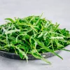 PNOS Rucola Eruca sativa Saatgut auf Band, 6 m