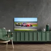 Thomson 50QG7C14 TV 127 cm (50) 4K Ultra HD Smart-TV Wi-Fi Schwarz