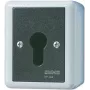 Jung 806.28 G Schlüsselschalter, 2-polig umschaltbar