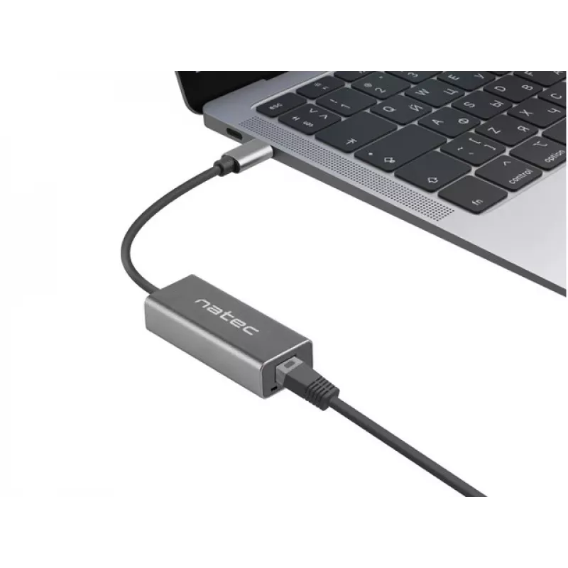 Natec Cricket NNC-1925 USB-C 3.1 Gen 1 auf RJ45 Ethernet-Adapter, 1000 Mbit/s, 15 cm Kabel, Aluminium, grau