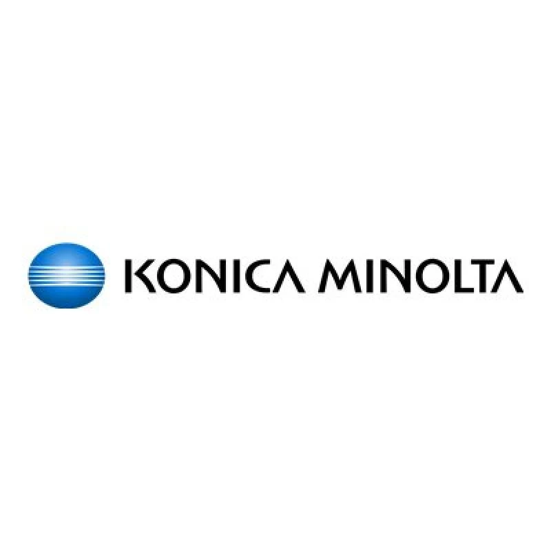 Entwicklereinheit Konica Minolta DV-313K Schwarz