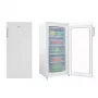 Amica FZ208.3AA(E) freistehender Gefrierschrank, eintürig, mechanische Steuerung, 39 dB, Energieklasse E, Weiß