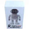 ALLNET Robert programmierbarer Roboter mit Bluetooth-Lautsprecher und App-Steuerung