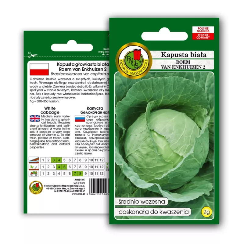 PNOS Weißkohl Roem Van Enkhuizen 2 Gemüsesamen, 2 g