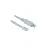 Delock 63308 USB-2.0-auf-RJ45-Seriell-Konsolen-Adapterkabel, FTDI FT232RL, 5 m, Grau