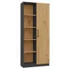 Bücherregal-Aufsatz Topeshop RD-80 ANT/ART KPL, 10 Regalböden, Spanplatte, 800×300×1820 mm