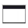 Projektionsleinwand Grandview GV101036