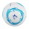 Fußball White Shark TB-001 Dribbler 32-Panel Größe 5