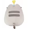 Plüschtier Pusheen von Pusheen — 24 cm Geburtstagshut mit Kuchen Plüschtier