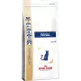 Royal Canin VHN Cat Renal Katzentrockenfutter, 2 kg