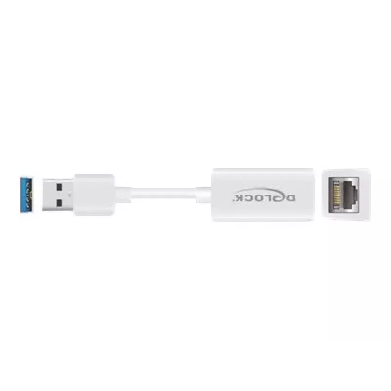 DeLOCK 65905 USB Type-A auf Gigabit LAN Netzwerkadapter, Weiß