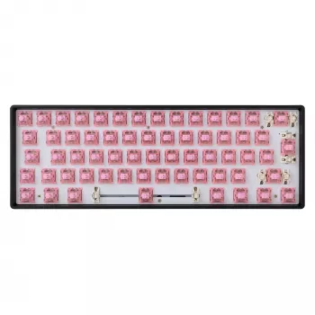 White Shark Roserift mechanische Tastaturschalter, 25 Stück