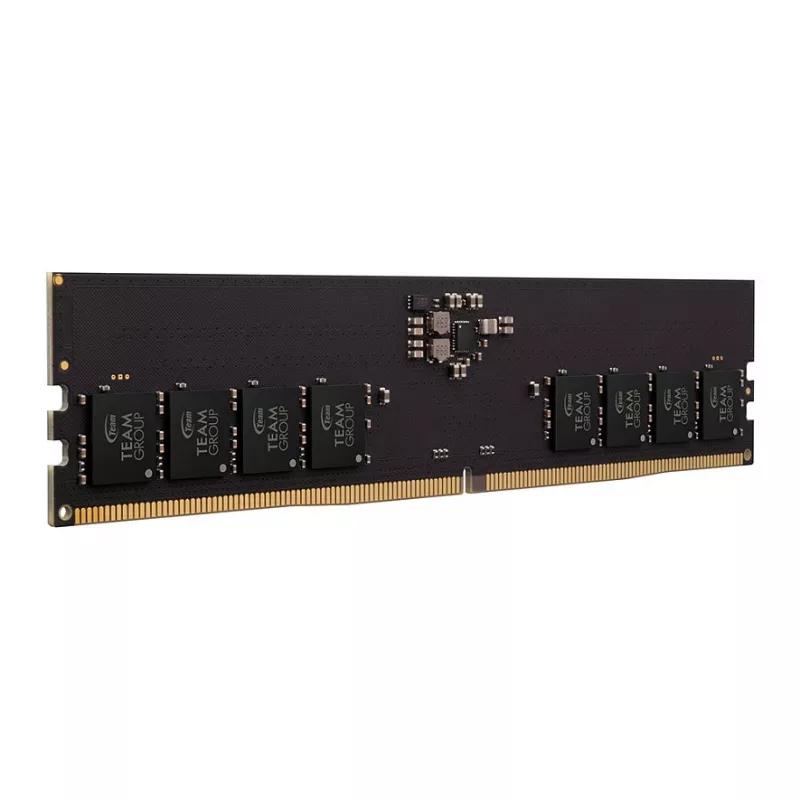 Team Group Team Elite - DDR5 - Modul - 32 GB - DIMM 288-PIN