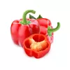 PNOS Paprika Jolanta Gemüsesamen, 0,5 g