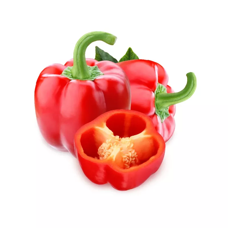 PNOS Paprika Jolanta Gemüsesamen, 0,5 g