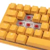 Ducky One 3 SF Gelb Tastatur Gaming USB Mechanisch RGB LED